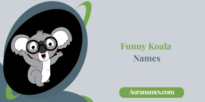 Funny Koala Names