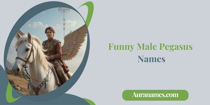 Funny Male Pegasus Names