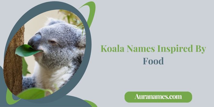 Koala Names Inspired By Food