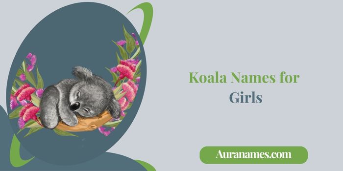 Koala Names for Girls
