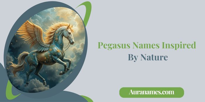 Pegasus Names Inspired By Nature