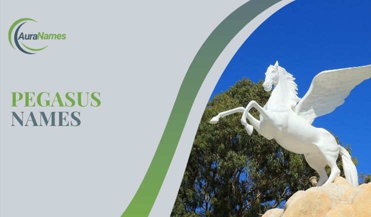 Pegasus Names