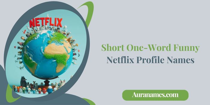 Short One-Word Funny Netflix Profile Names