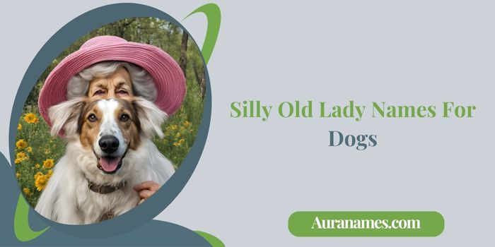 Silly Old Lady Names For Dogs