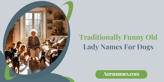 Traditionally Funny Old Lady Names For Dogs