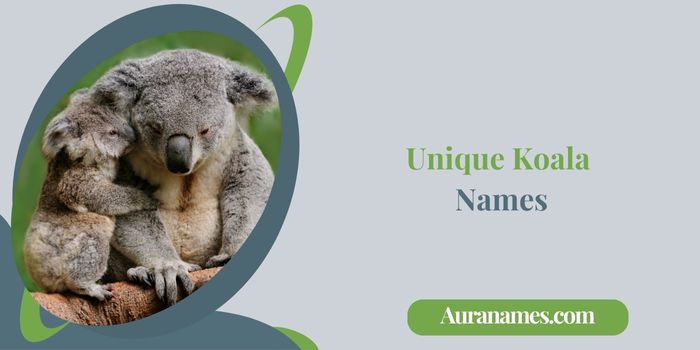 Unique Koala Names