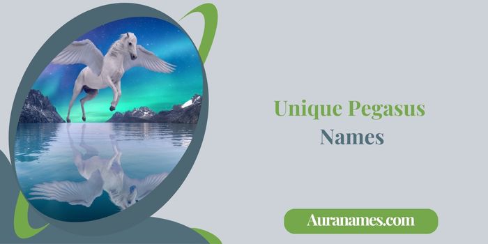 Unique Pegasus Names