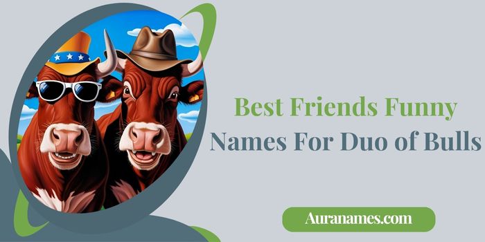 Best Friends Funny Names For Duo of Bulls