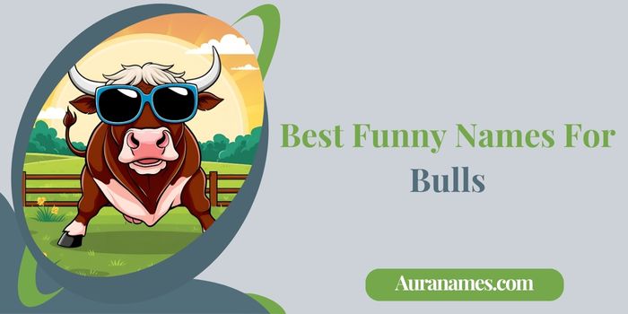 Best Funny Names For Bulls