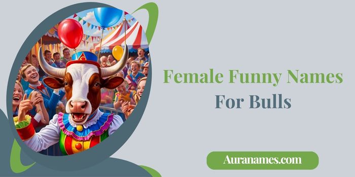 Female Funny Names For Bulls