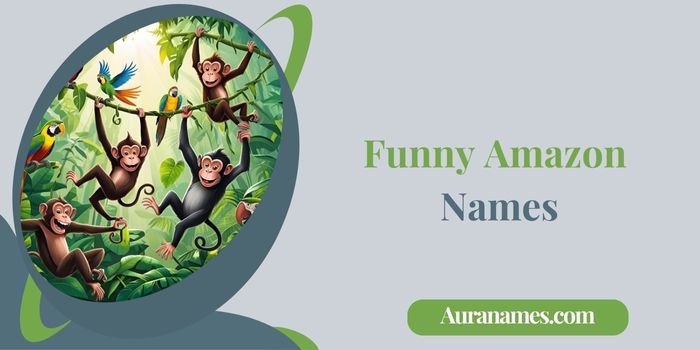 Funny Amazon Names (1) Funny Amazon Names