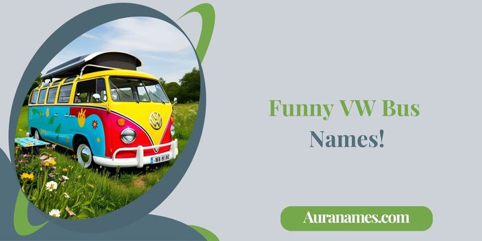 Funny VW Bus Names!