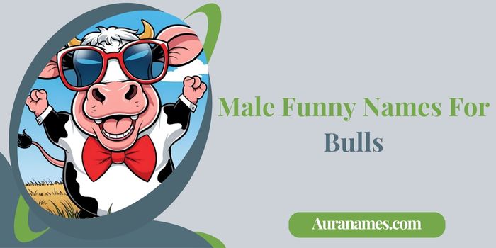 Male Funny Names For Bulls
