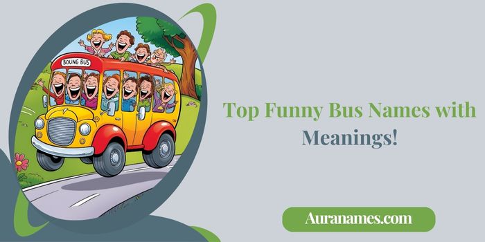 Top Funny Bus Names with Meanings!