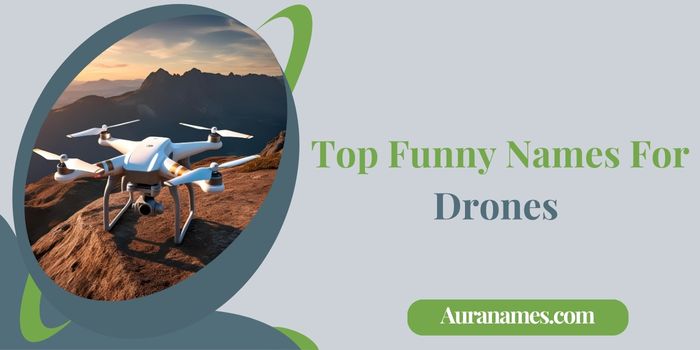 Top Funny Names For Drones