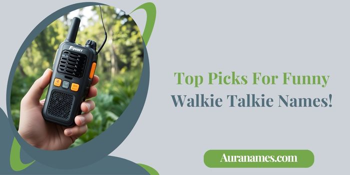 Top Picks For Funny Walkie Talkie Names!