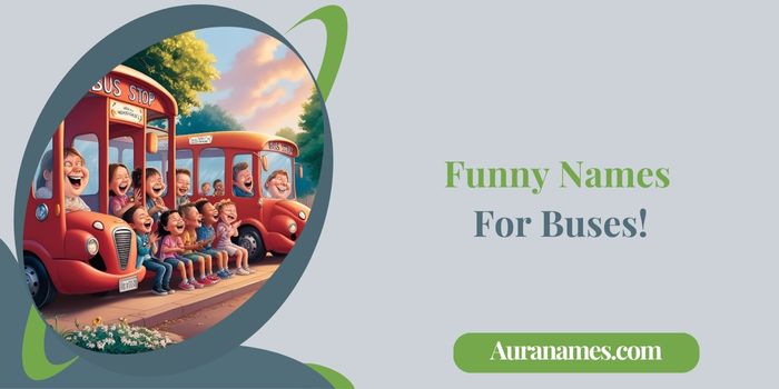 Funny Names 
For Buses!