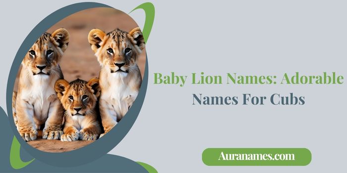 Baby Lion Names Adorable Names For Cubs Baby Lion Names: Adorable Names For Cubs