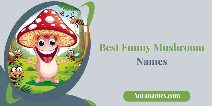 Best Funny Mushroom Names