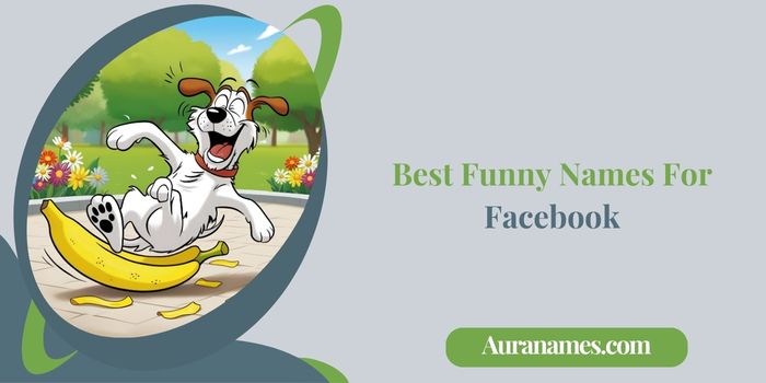 Best Funny Names For Facebook Best Funny Names For Facebook