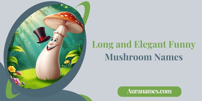 Long and Elegant Funny Mushroom Names