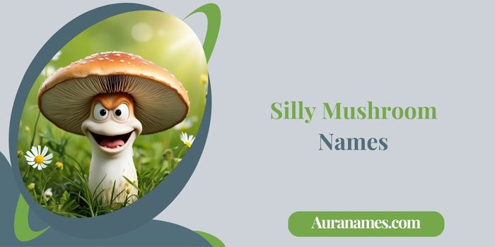 Silly Mushroom
