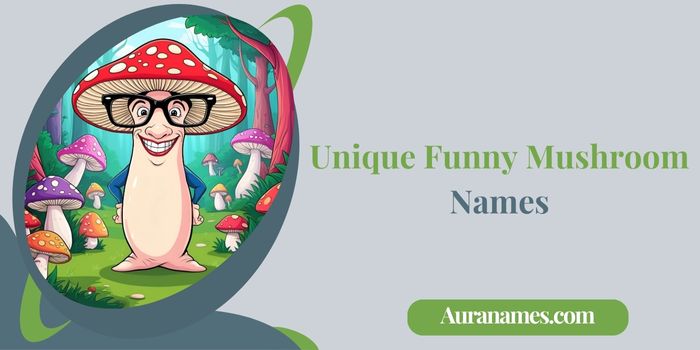 Unique Funny Mushroom Names