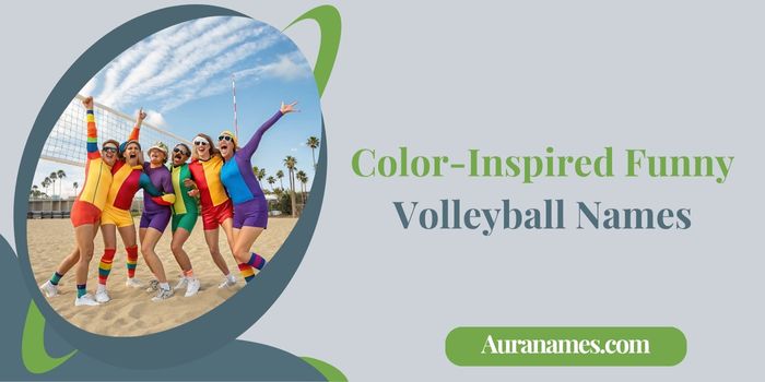 Color-Inspired Funny Volleyball Names