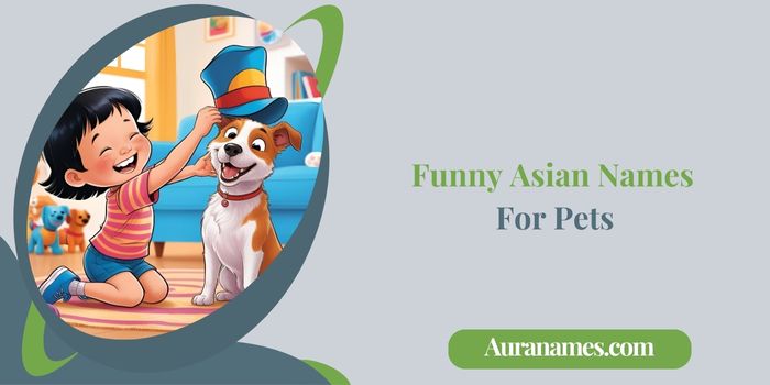 Funny Asian Names For Pets Funny Asian Names For Pets