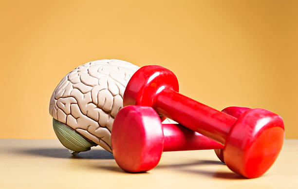 Improve Brain Function