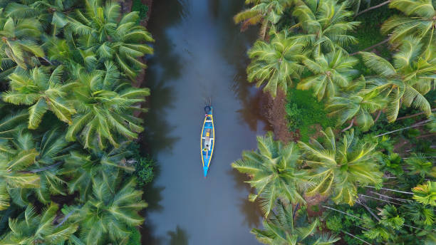 Munnar Alleppey Tour