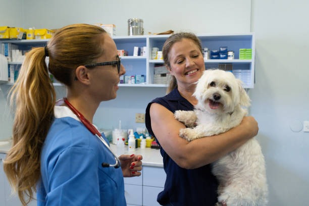Gymea Vet Clinic: Expert Veterinary Care You Can Rely On