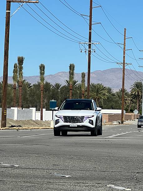 Corporate Group Trip