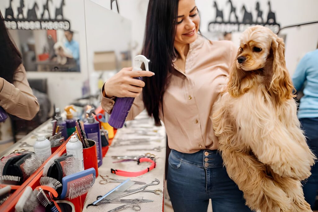 Perfect Dog Groomer Near You