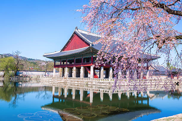 Real-Time Data to Explore Popular Korean Spots